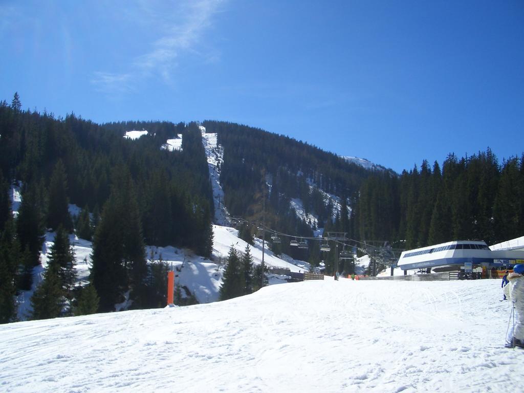 Haus Schneeberg Mit Hochkoenig Card Apartment Mühlbach am Hochkönig Exterior foto